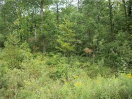 Lot 12 E Lakeshore