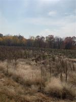 Lot 6 Kenneth Drive