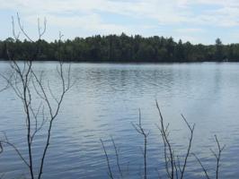 Lot #20 Wolf Island Road