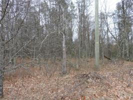 Lot 12 Ice Road