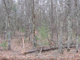 Lot 11 W Des Moines Lake Rd.