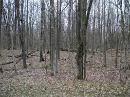 Lot #10 Allison Place