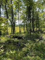 17 acres Spooner Lake Rd