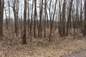 0 Hillside Lane