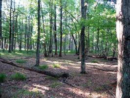 2.15 Acres Badger Lane