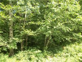 Lot 97 Woods Avenue
