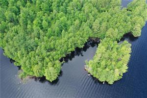 0 Moose Lake Club Road