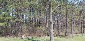 Lot 1 539th Street