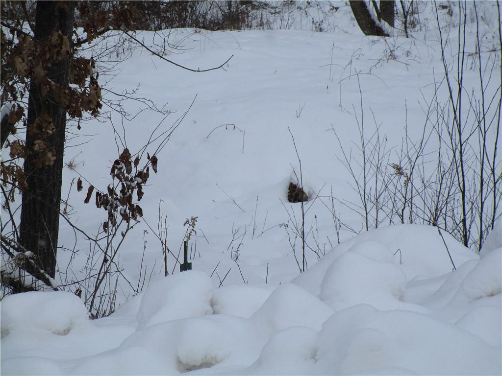 Image 1: South West lot marker