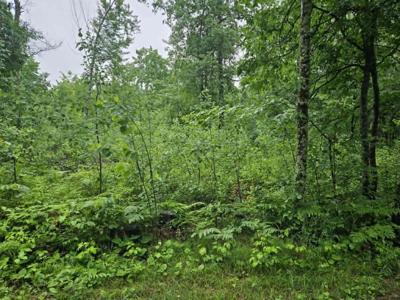 Lot 1 Hilly Lane