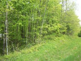 Lots 71,72,73 Woods