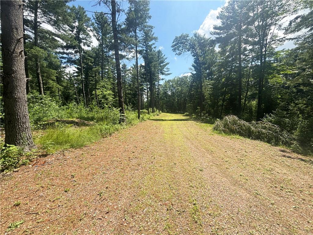 Image 3: Road Throughout property