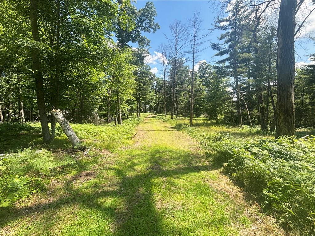 Image 4: Road Through Property