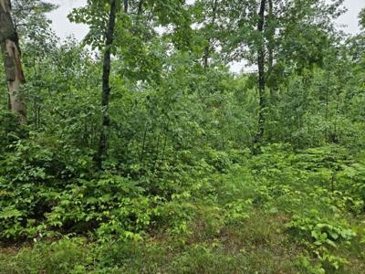 Lot 3 Hilly Lane