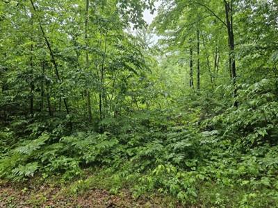 Lot 4 Hilly Lane