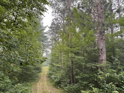 0 Kelly Lake Road
