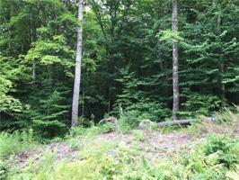 Lot 0 Price Dam Road