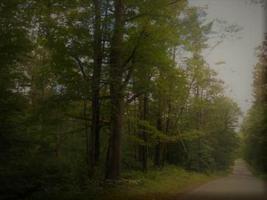 Lot 13 N Lugner Road