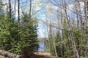 Lot #1 Long Lake Road