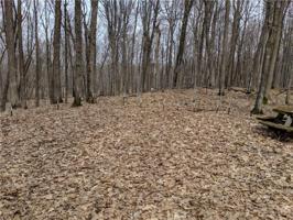 Lot 16 Musky Bay Road