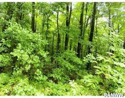 Lot 4 Timber Trail Lane