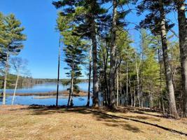 Lot 6 Pine Finch Lane