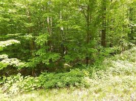 Lot 2 156th Avenue