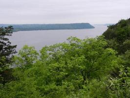 5.3 Acres S West Bluff