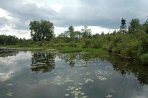 Lot 4 Juneks Point Road