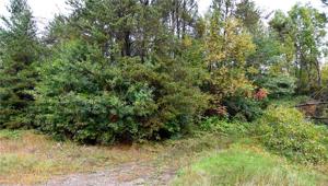 Lot 5 Pinewood Avenue