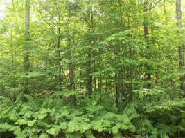 Lot#55 E Lothian Circle