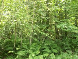 Lot #56 E Lothian Circle