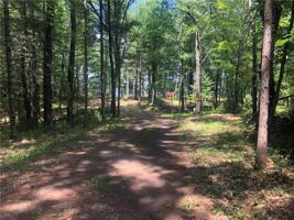 28560 Redwing Trailway