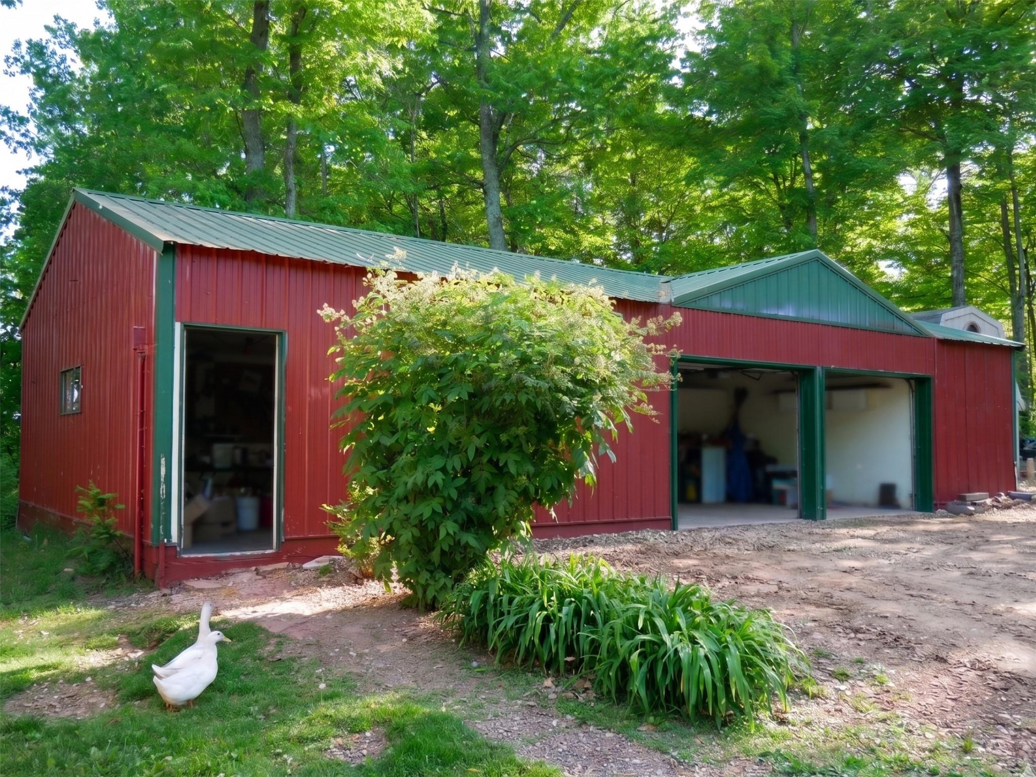 Image 4