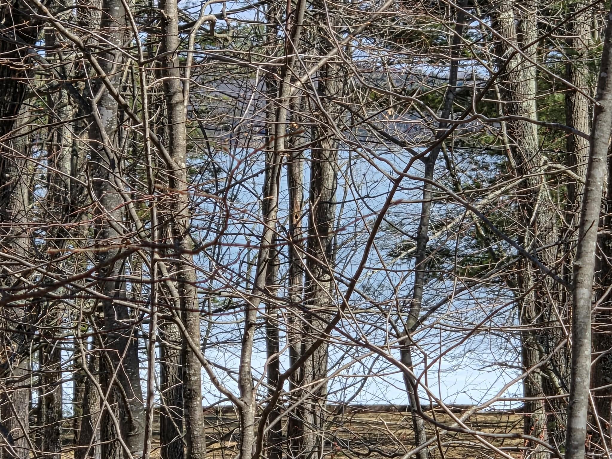 Image 2: Image is zoomed to capture the lake views. Lot is