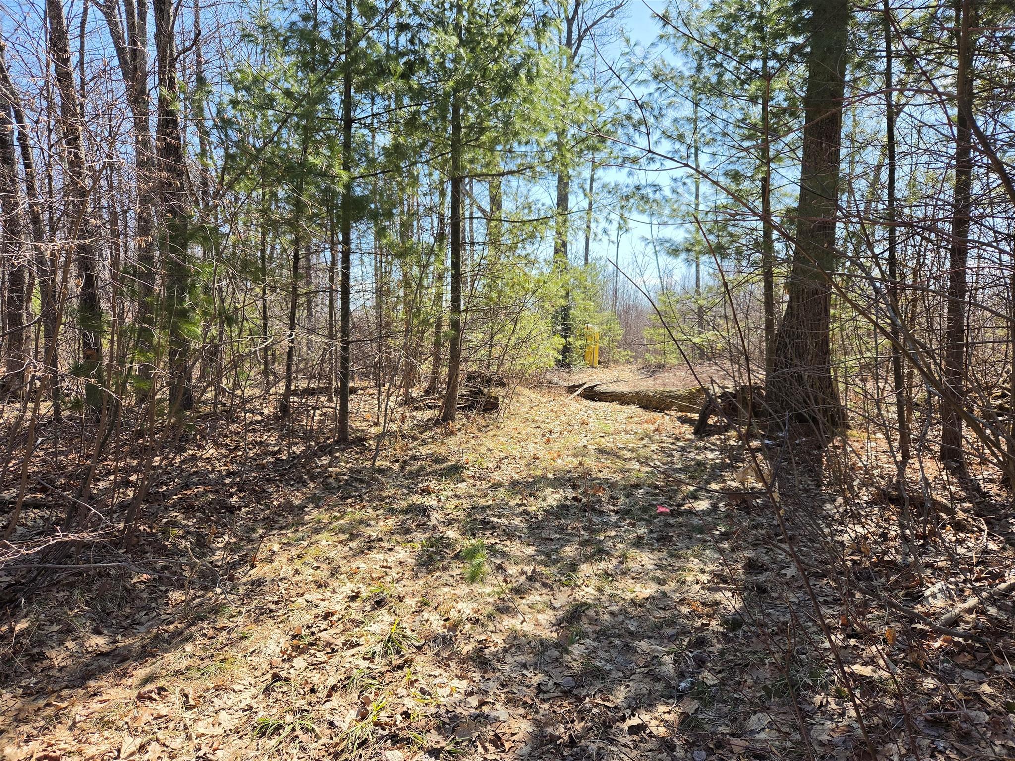 Image 3: Driveway in place with culvert.