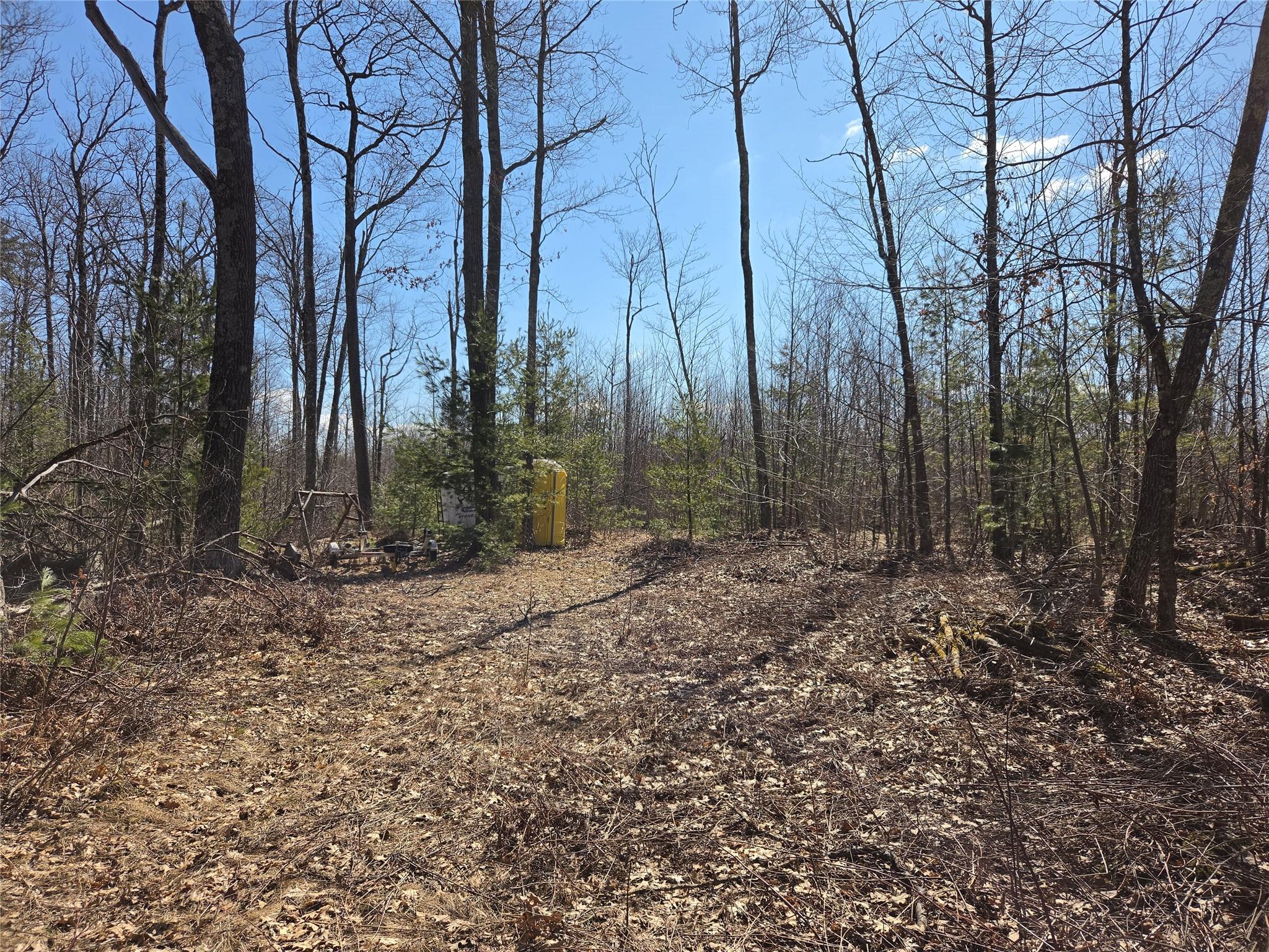 Image 4: A mix of level and hillside elevation for walkout