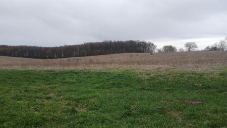62 Acres 82nd Street