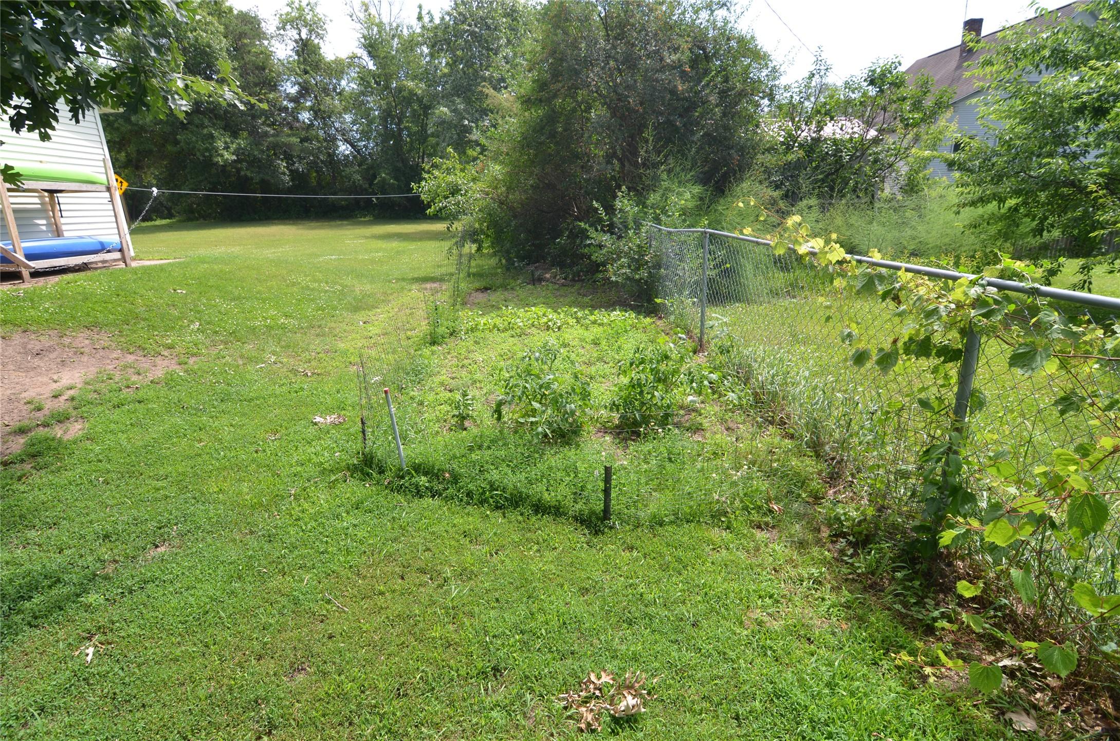 Image 4: Garden