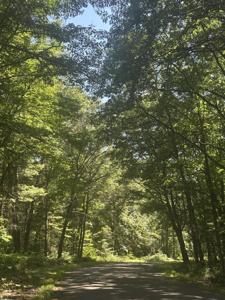 Lot 2 271st Street