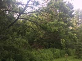 Lot 1 Hwy D