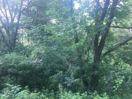 Lot 3 618th Street
