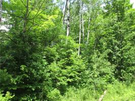 Lot 16 Lake Winter Road