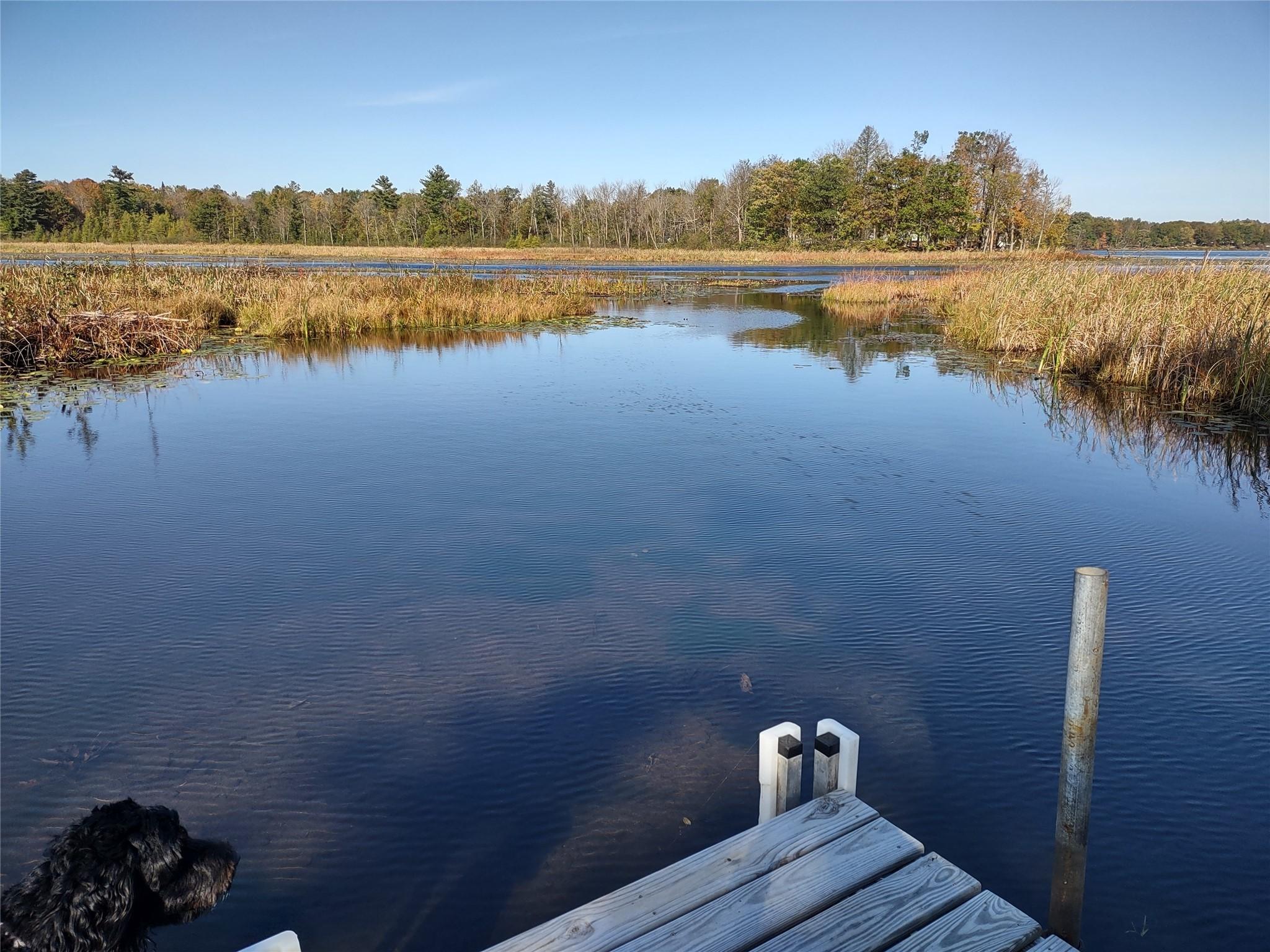 Image 3: Fall of 2025