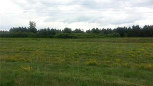 Lot 354 Wissota Green Parkway