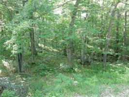 Lot 58 Great Bear Pass