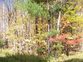 Lot #51 Chippewa Place