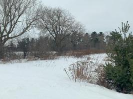 Lot 3 21st Street