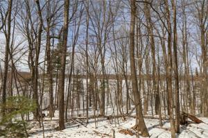 Lot 1 Maple Terrace Drive