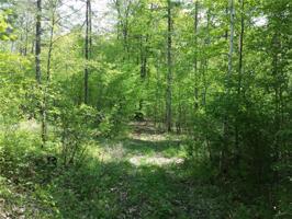 4 Lots Wheel Inn Drive